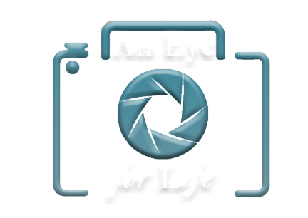 An Eye for Life Photography Logo